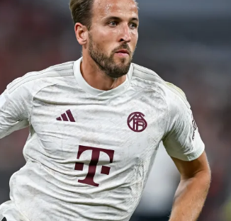 予年轻球员 予年轻球员